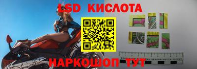 Альфа ПВП Кингисепп