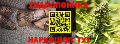 Альфа ПВП Кингисепп