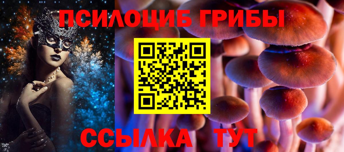 Псилоцибиновые грибы прущие грибы  как найти закладки  Вход с VPN  Красноуфимск  Псилоцибиновые грибы мицелий 